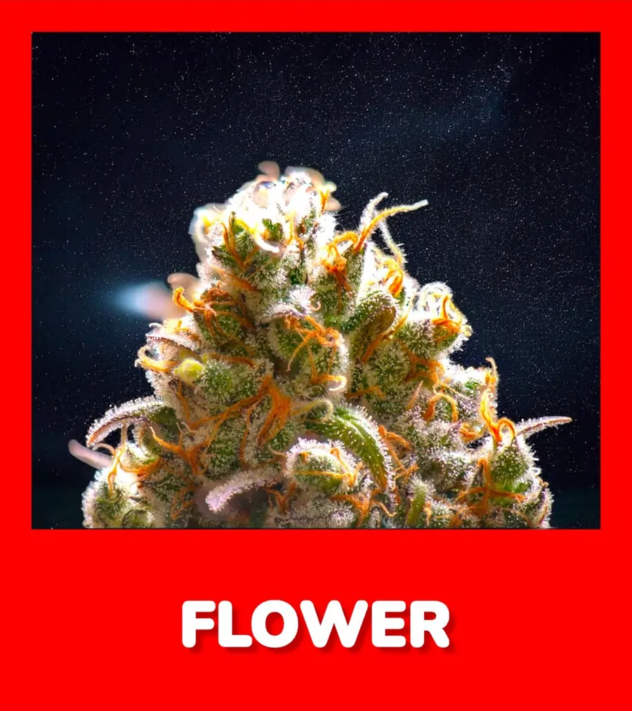 shop weed flower now